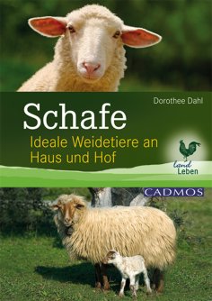 ebook: Schafe