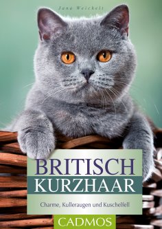eBook: Britisch Kurzhaar