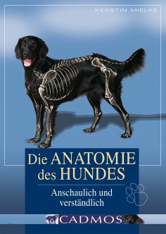 ebook: Die Anatomie des Hundes