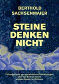 ebook: Steine denken nicht