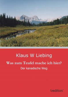 eBook: Was zum Teufel mache ich hier?
