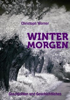 eBook: Wintermorgen - Geschichten und Geschichtliches