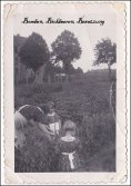 eBook: Bomben, Bickbeeren, Besatzung