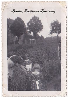 eBook: Bomben, Bickbeeren, Besatzung