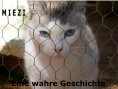 ebook: Miezi – Eine wahre Katzengeschichte