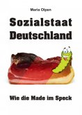 eBook: Sozialstaat Deutschland