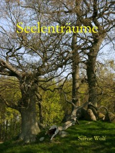 eBook: Seelenträume
