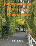 ebook: Begegnungen Situationen Phantasien