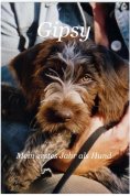 ebook: Gipsy - Mein erstes Jahr als Hund