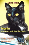 ebook: Merlin - ein Geschenk des Himmels.