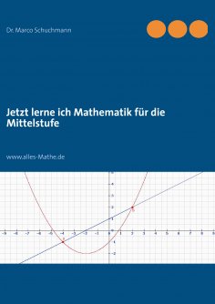 ebook: Jetzt lerne ich Mathematik für die Mittelstufe