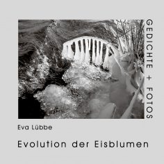 ebook: Evolution der Eisblumen