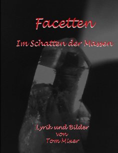 eBook: Facetten