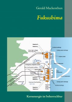 eBook: Fukushima