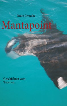 ebook: Mantapoint