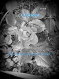 ebook: Charleen
