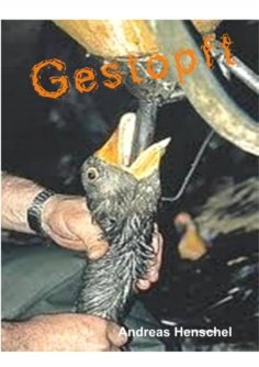 eBook: Gestopft