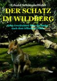 eBook: DER SCHATZ IM WILDBERG