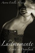 eBook: Lustmomente