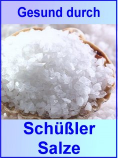 eBook: Gesund durch Schüßler Salze