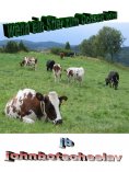 eBook: wenn ein Stier zum Ochsen wird