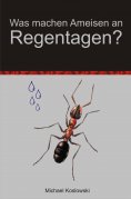 ebook: Was machen Ameisen an Regentagen ?