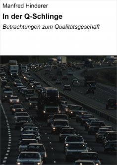 ebook: In der Q-Schlinge