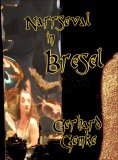 eBook: Narrseval in Bresel