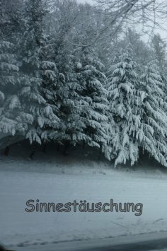 ebook: Sinnestäuschung