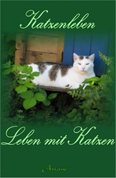 eBook: Katzenleben