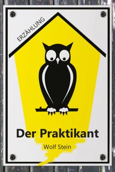 ebook: Der Praktikant