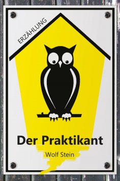 eBook: Der Praktikant