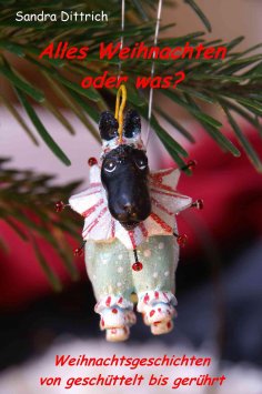 eBook: Alles Weihnachten oder was?