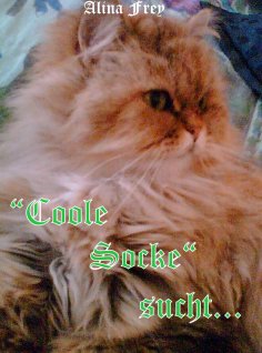eBook: "Coole Socke" sucht...