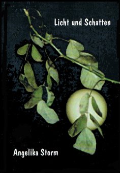 ebook: Licht und Schatten