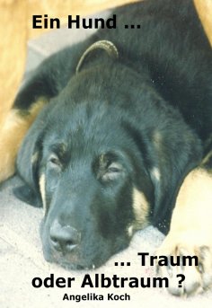 ebook: Ein Hund ... Traum - oder Albtraum