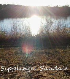 eBook: Sipplinger Sandale