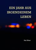 ebook: Ein Jahr aus irgendeinem Leben