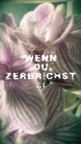 eBook: Wenn du zerbrichst