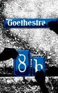 ebook: Goethestraße 8b