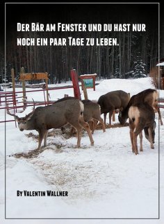 ebook: DER BÄR AM FENSTER UND DU HAST NUR NOCH EIN PAAR TAGE ZU LEBEN