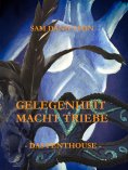 eBook: Gelegenheit macht Triebe - Das Penthouse