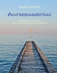 ebook: Achterbahngefühle