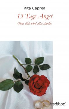 ebook: 13 Tage Angst