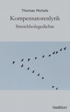 eBook: Kompensatorenlyrik