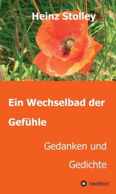 ebook: Ein Wechselbad der Gefühle
