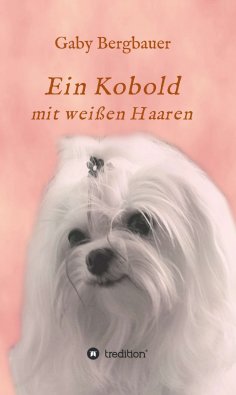 eBook: Ein Kobold mit weißen Haaren