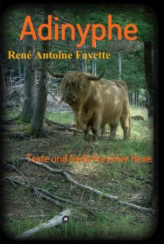 ebook: Adinyphe