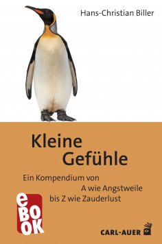 ebook: Kleine Gefühle