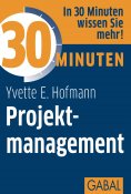 ebook: 30 Minuten Projektmanagement